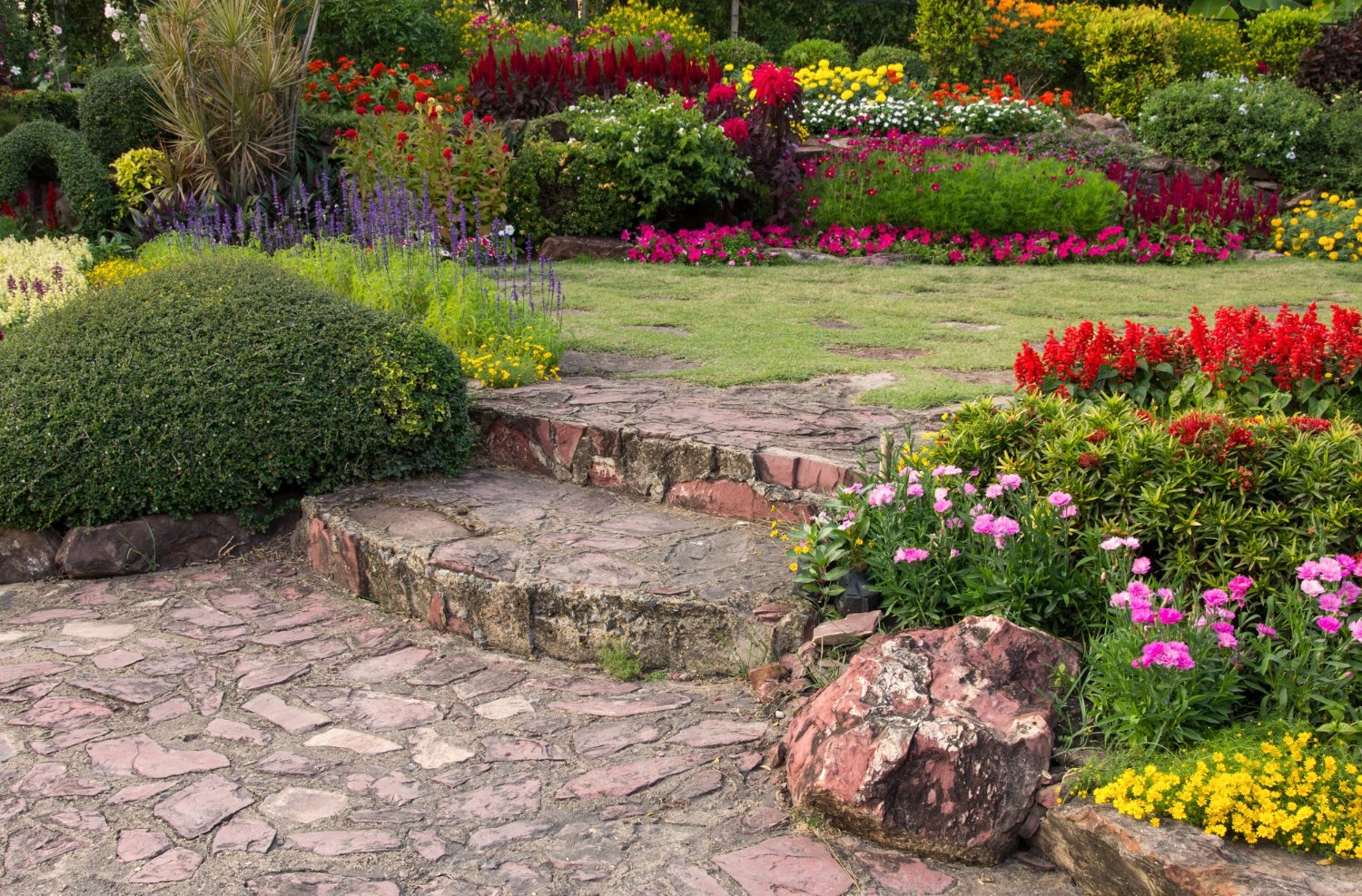 Landscaping reference photograph